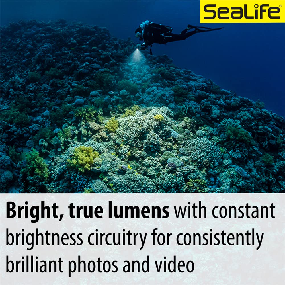 SEA LIFE Sea Dragon 3000SF Pro Dual Beam Lichtkopf 3000lm