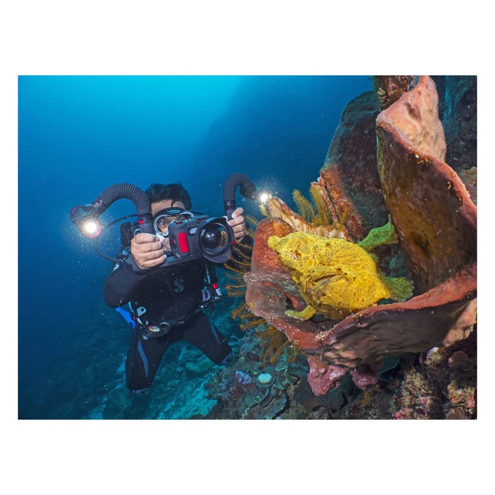 SeaLife Sea Dragon 5000+ SL680 Unterwasser Videolicht 120°