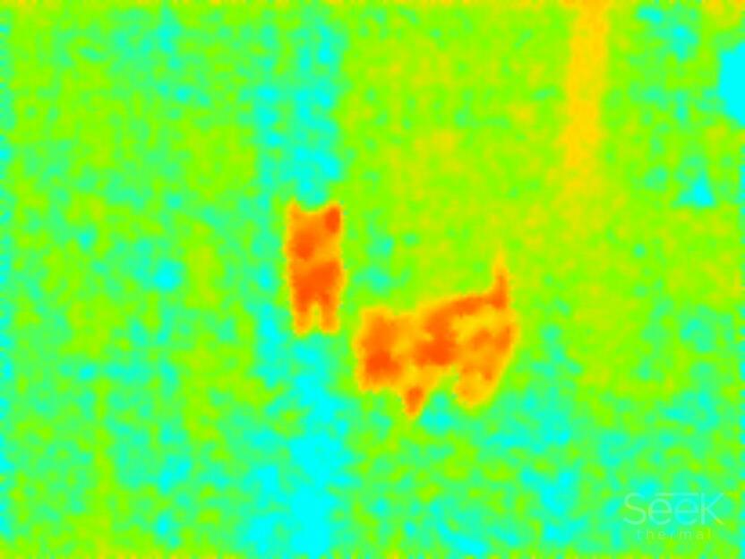 Seek Thermal CompactXR Wärmebildkamera Micro-USB 206x156