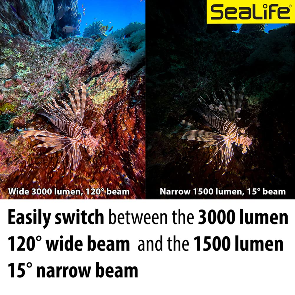 SEA LIFE Sea Dragon 3000SF Pro Dual Beam Lichtkopf 3000lm