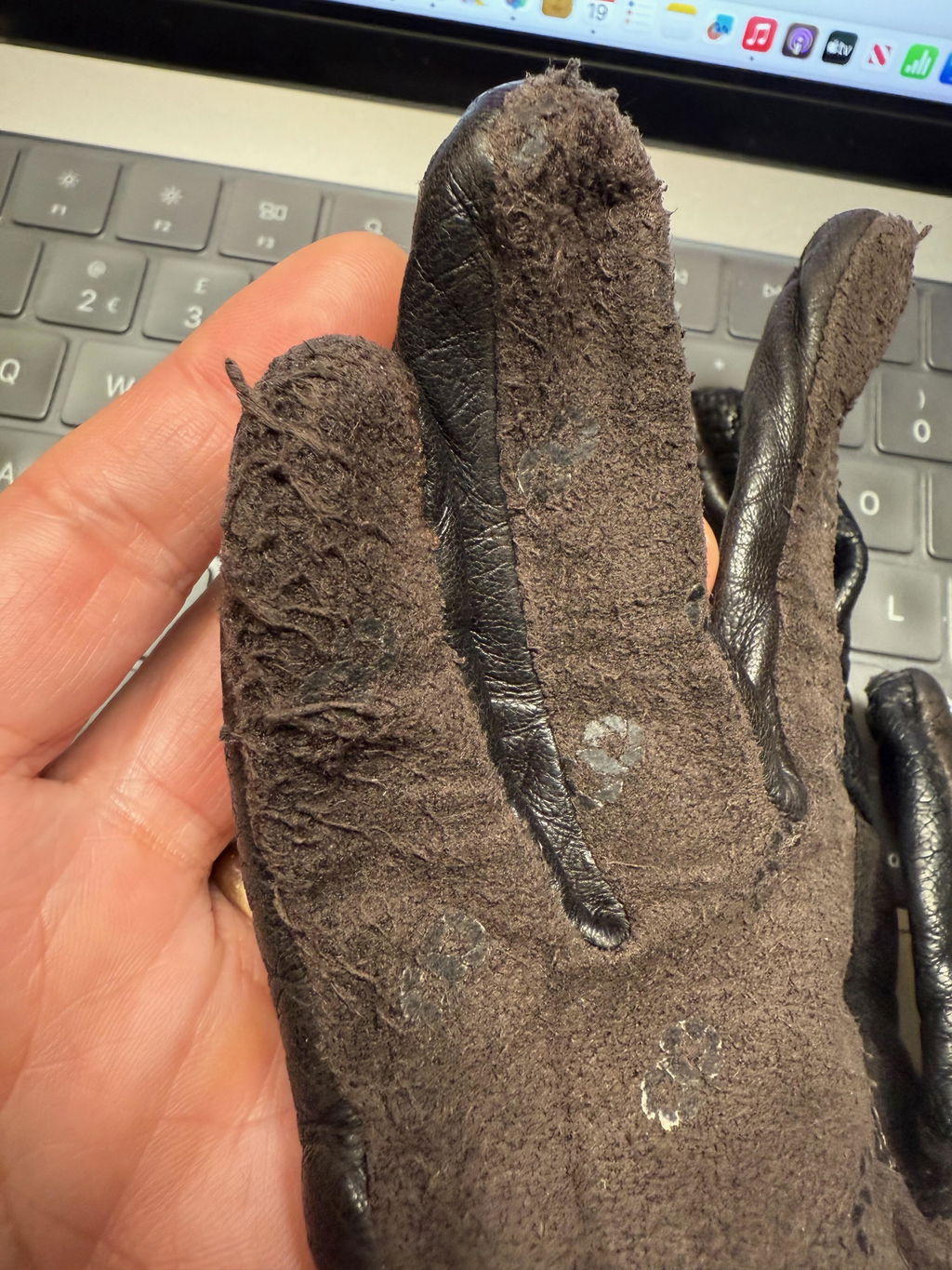 COOPH Original Photo Glove Fotohandschuhe Schwarz Leder