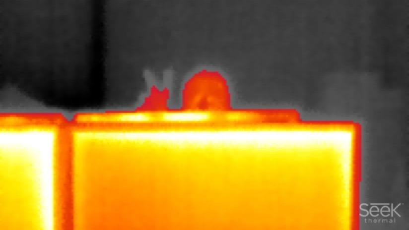 Seek Thermal Compact Wärmebildkamera Lightning Schwarz Standard